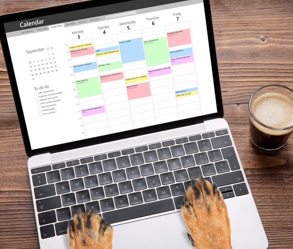 Book An Appointment Animal Clinic of Athens