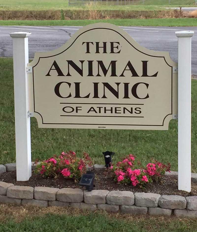 Athens Pet Hospital