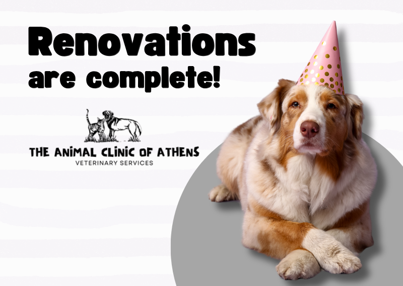 Carousel Slide 1: Learn More >>